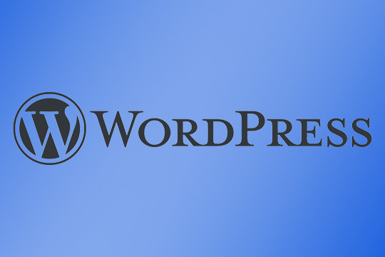 Sviluppatore Wordpress