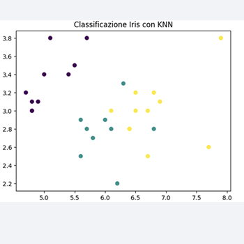 Il metodo k-Nearest Classificazione