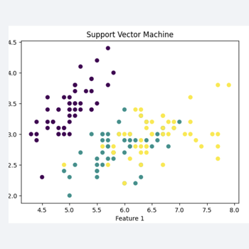 Support Vector Machine
