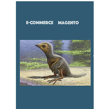Magento 
